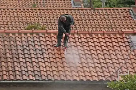 Nettoyage et démoussage de toiture à Bonnetan à Bonnetan